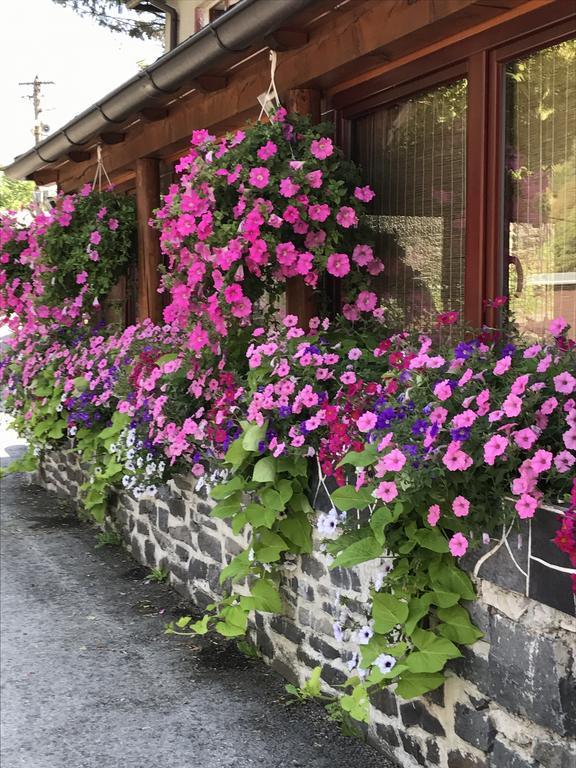 Penzion Holub Tajov Экстерьер фото